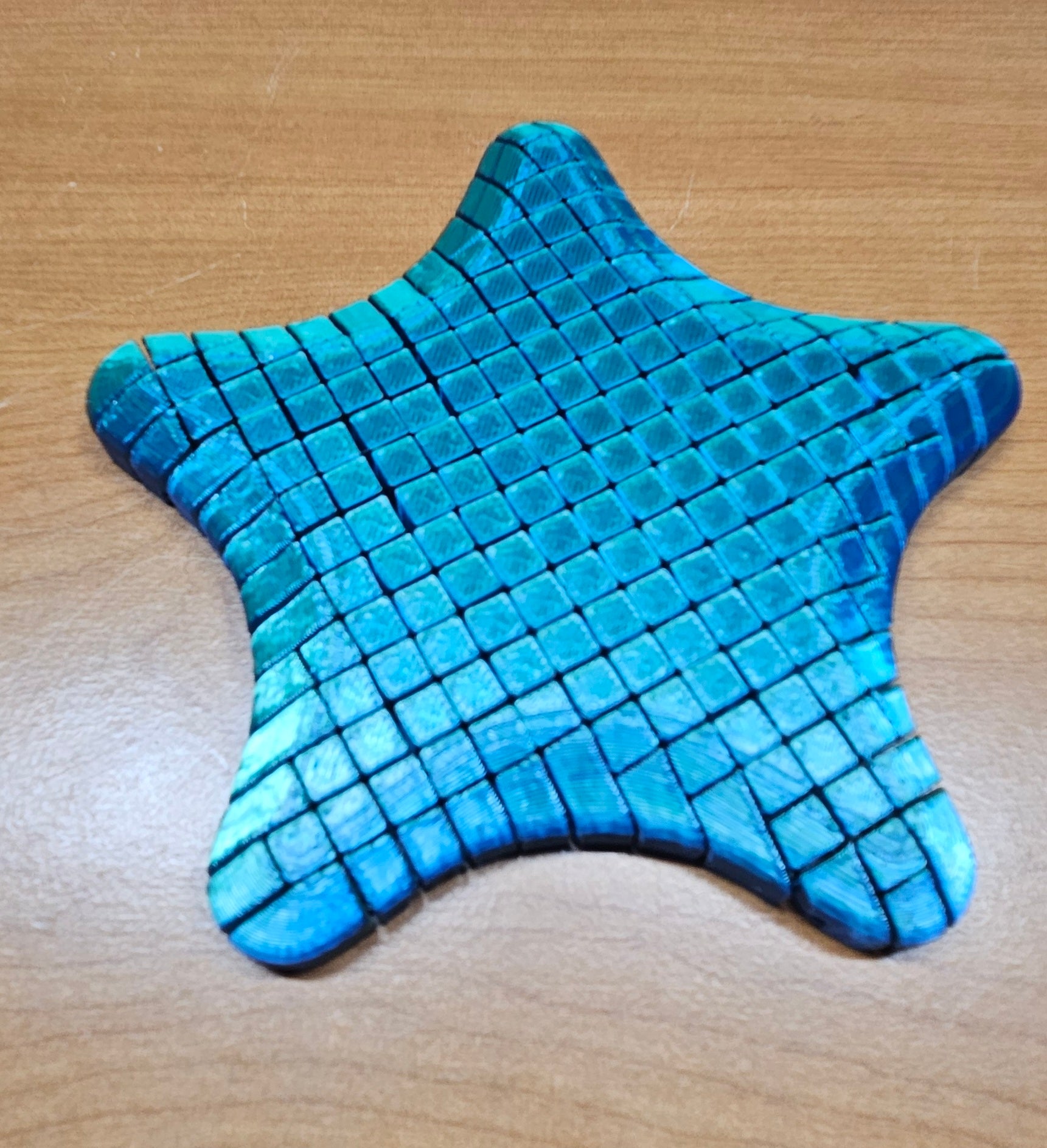Flexi Starfish Fidget