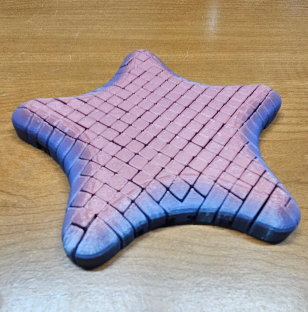 Flexi Starfish Fidget