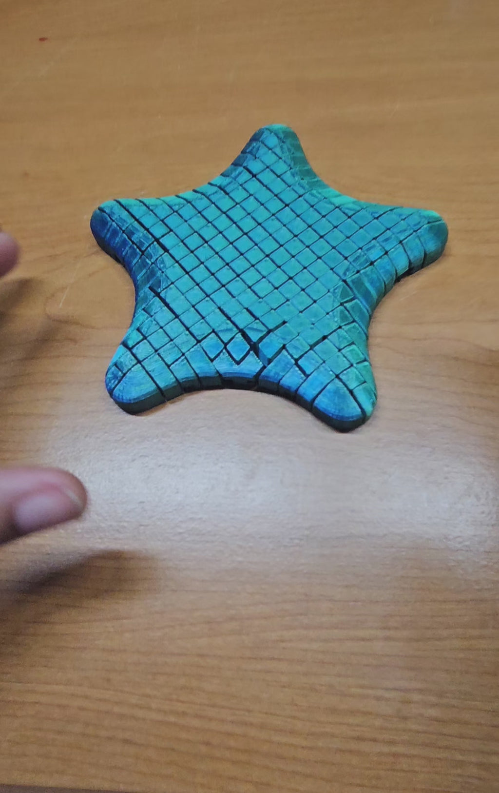 Flexi Starfish Fidget
